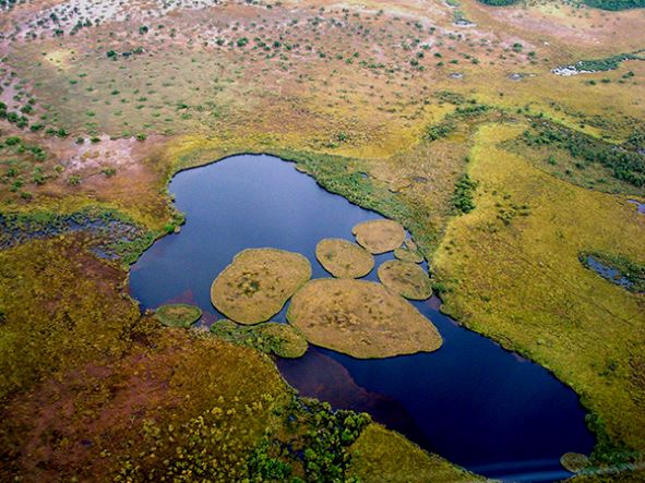 Com a maior biodiversidade do Planeta, o Parque Estadual Corumbiara também é um local propício para pesquisas científicas. (Foto: Divulgação)