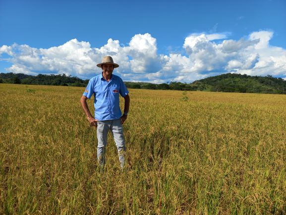 O agrônomo Celso Rocha, da Rical, é um especialista em arroz. Recentemente ele mudou para Cerejeiras para atender as lavouras da região. (Foto: Rildo Costa).