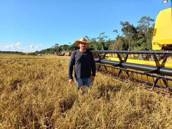 André Schneider plantou uma área de 140 hectares de arroz em Pimenteiras. O cereal ajuda a tornar o negócio da agricultura sustentável. (Foto: Rildo Costa).