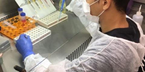 Molécula de cobre que pode ajudar no combate ao câncer é descoberta por pesquisadores brasileiros