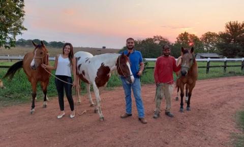 Dos ranchos estruturados aos domadores autônomos, conheça o milionário mercado de cavalos na região de Cerejeiras