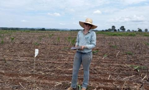 De pesquisa à assistência técnica, jovens agrônomos aproveitam as oportunidades criadas pelo desenvolvimento da agricultura na região de Cerejeiras