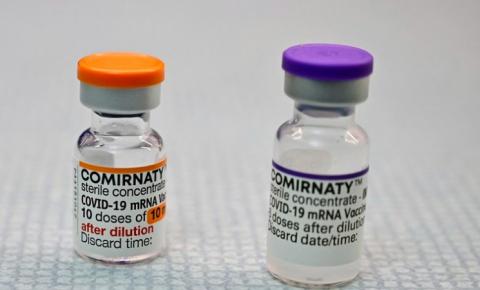 Vacina para crianças: doses pediátricas da Pfizer devem chegar em Rondônia hoje (14)